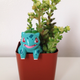 Illustration for article titled Project Bulbasaur Botany: Succulents